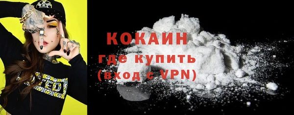 шишки Мегион