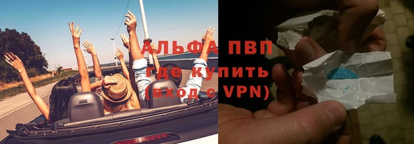 шишки Мегион
