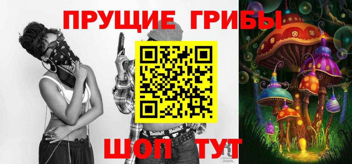 Псилоцибиновые грибы мухоморы  Галлюциногенные грибы прущие грибы  купить наркоту  Вход с VPN  Сыктывкар 