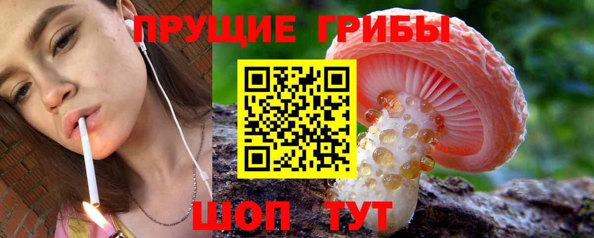 Галлюциногенные грибы ЛСД Сыктывкар